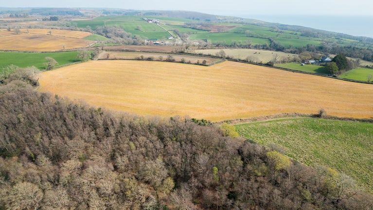 Aerial views of Colby Woodland Garden’s hidden wooded valley, Pembrokeshire
